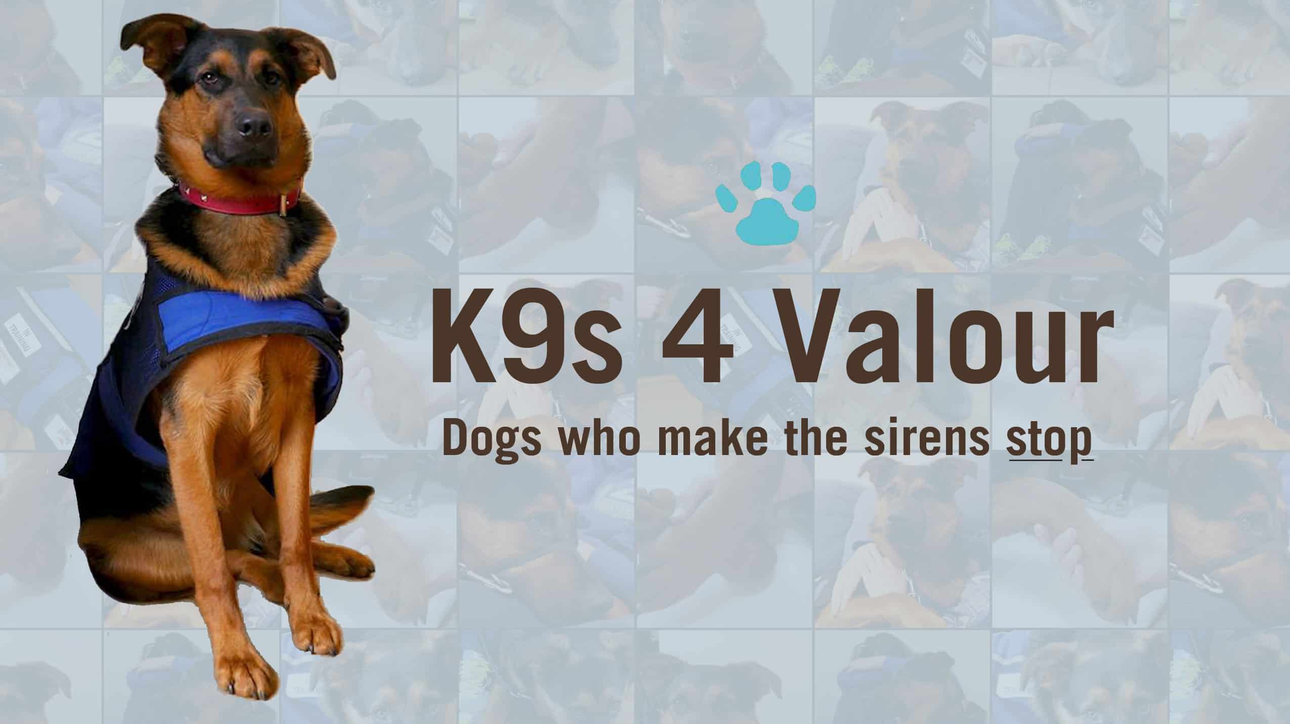 K9S 4 Valour Dogs Who Make The Sirens Stop Ptsd Support Dogs