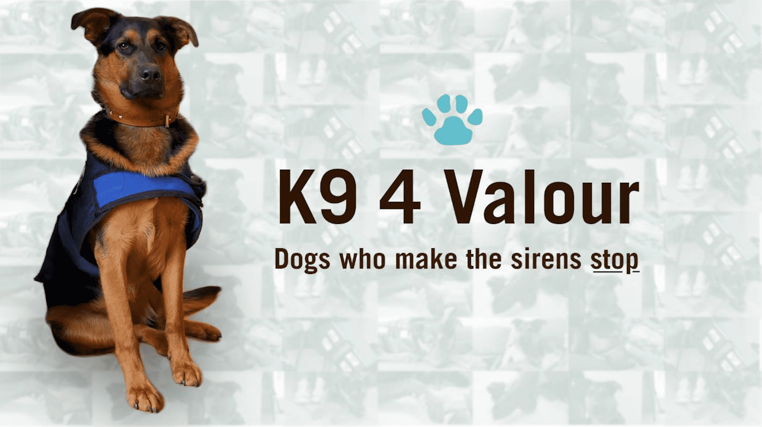 K9S 4 Valour - Dogs Who Make The Sirens Stop. Ptsd Support Dogs.